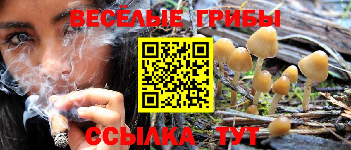 Псилоцибиновые грибы MAGIC MUSHROOMS  купить   Лобня  Вход с VPN 